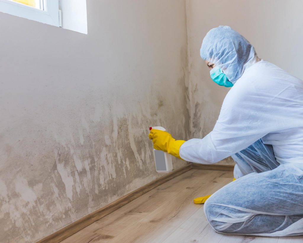 Mold Removal Naples FL