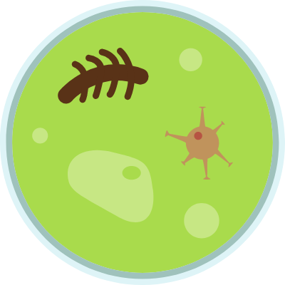 mold growth green icon